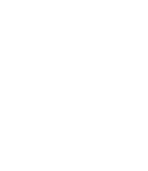 Tomas Töws Website Logo